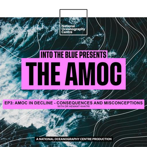 Could the AMOC COLLAPSE? Consequences and Misconceptions | Into the Blue Presents: The AMOC Ep3