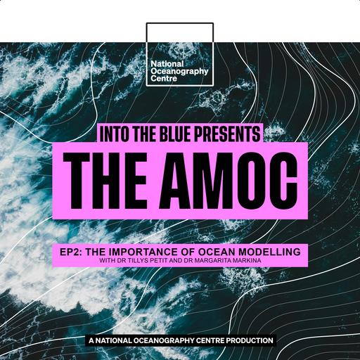 Why Ocean Models Are Key in Unlocking the AMOC's Future | Into the Blue Presents: The AMOC Ep2