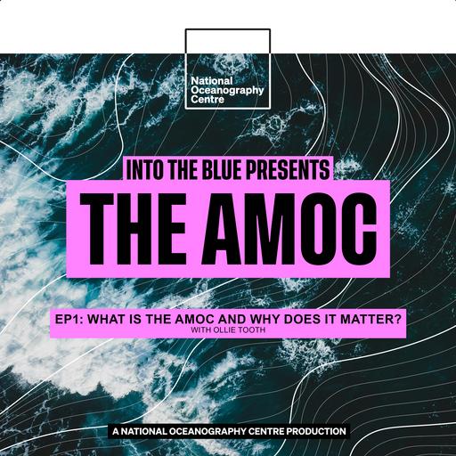 How the AMOC Acts as the Planets 'Central Heating System' | Into the Blue Presents: The AMOC Ep1