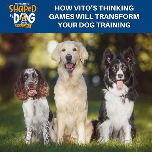 How Vito’s Thinking Games Will Transform Your Dog Training #281