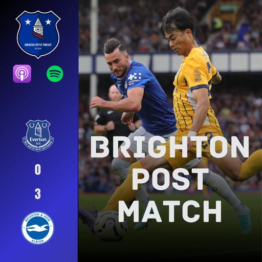 BRIGHTON POST-MATCH: Farewell Commencement Crashed by Gulls