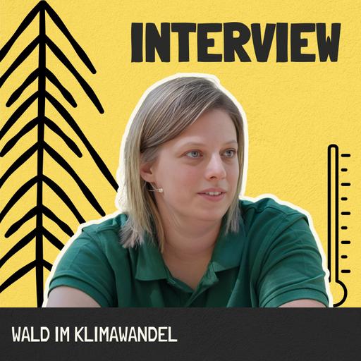 Interview | Wald und Klimawandel