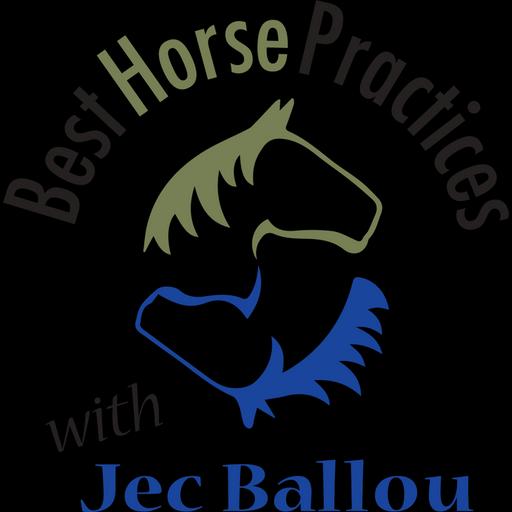 Life and Death of Livestock and Pets, a Short Conversation with Nina Fuller