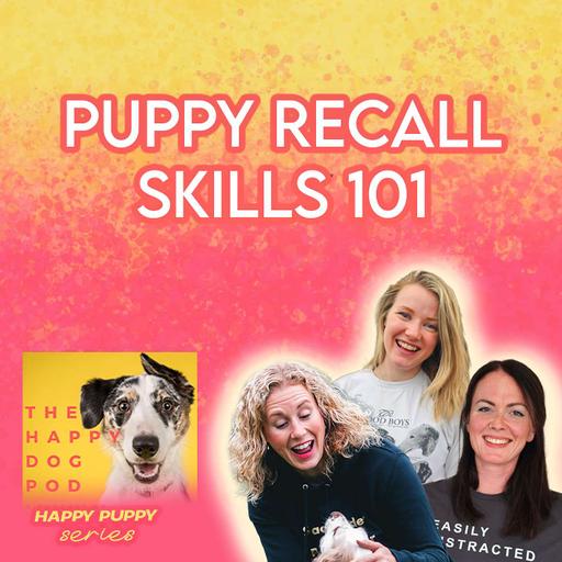 Puppy recall skills 101