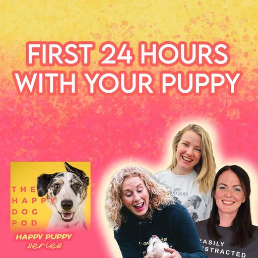 How to survive the first 24 hours with your new puppy!