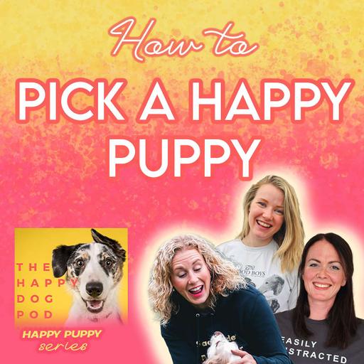 Picking a happy puppy