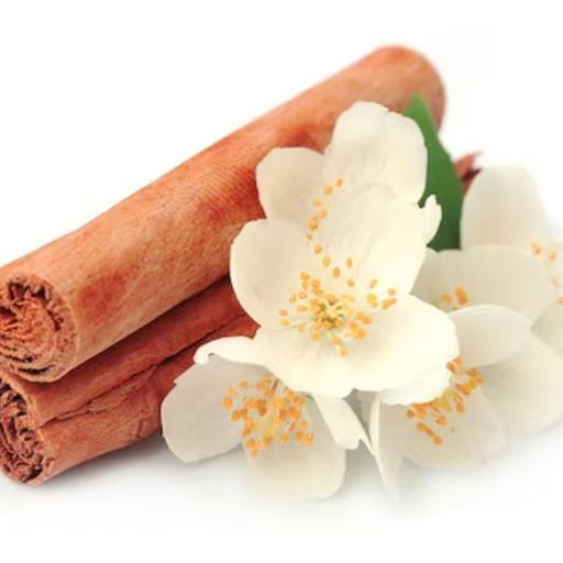 América mágica - La flor de la canela - 24/08/24