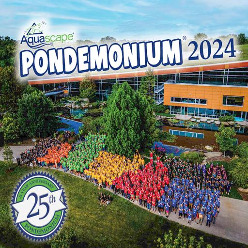 Insiders Review: Pondemonium!