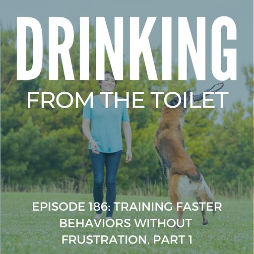 #186: Training Faster Behaviors Without Frustration, Part 1