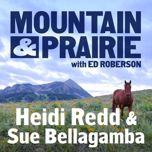 Heidi Redd & Sue Bellagamba - Tales from the Dugout Ranch