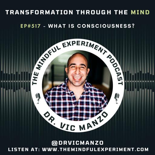 EP#517 - What is Consciousness?