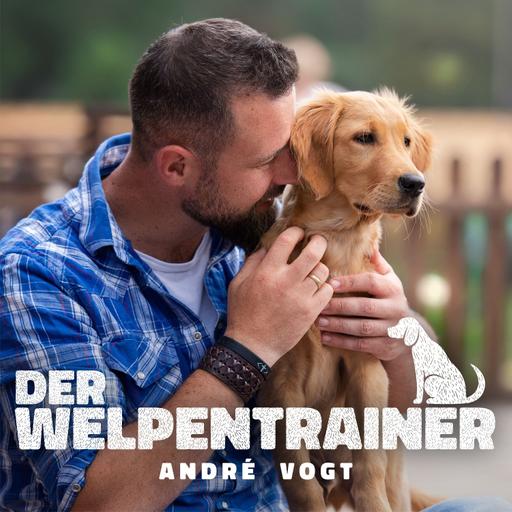 103: „Die Hunde-Nanny kommt – Das muss Dogsitting bieten"