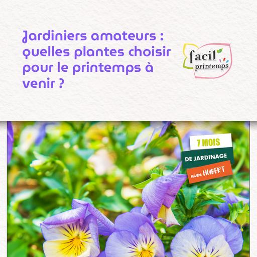 Jardiniers amateurs : quelles plantes choisir pour le printemps à venir ?