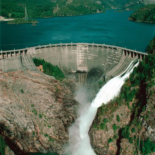 Big Synchronous Generators, Popular Fallacies, and Unpopular Opinions