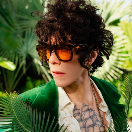 LP - Multi-platinum Singer / Songwriter
