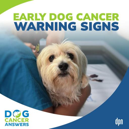 Found a Lump on My Dog and Other Bad Signs | David Vail, DVM, MS, Dip. ACVIM (Oncology) #254