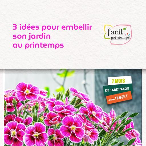 3 idées pour embellir son jardin au printemps