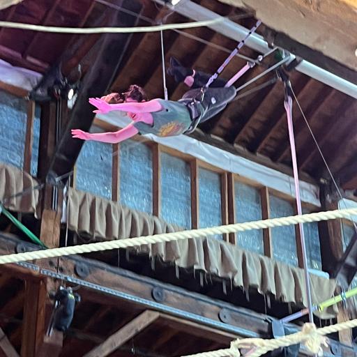 [PATREON PREVIEW] Would You Trapeze?