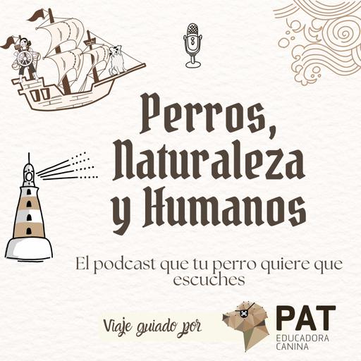 Las necesidades caninas