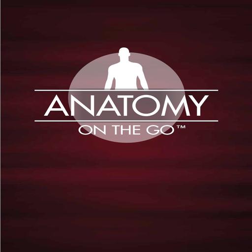 Episode 76: Starting Strong with Learning Anatomy