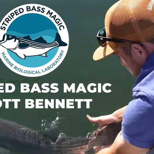 Scott Bennett - Insights From Striped Bass Magic Research Program