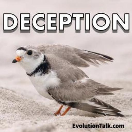 Deception