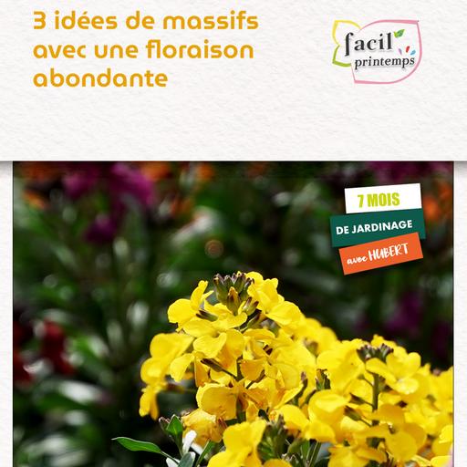 3 idées de massifs avec une floraison abondante