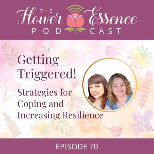 FEP70 Getting Triggered! Strategies for Coping and Increasing Resilience