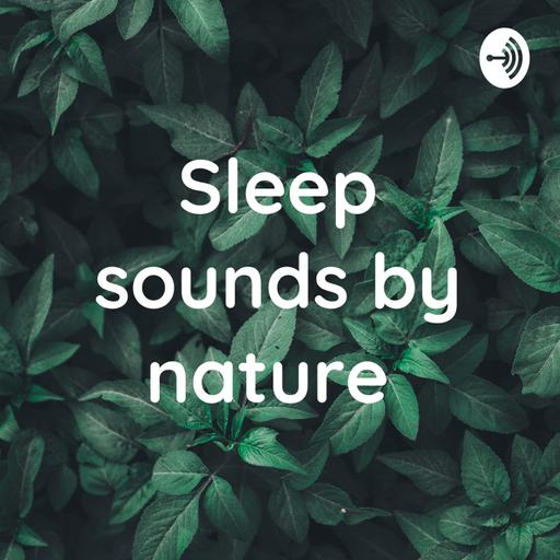 light rain sounds for sleep 2 hours