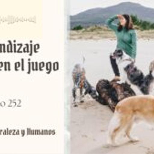 Descubre Como Aprenden Los Perros