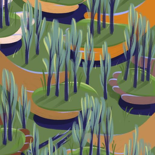 The Maine Woods Initiative with Steve Tatko