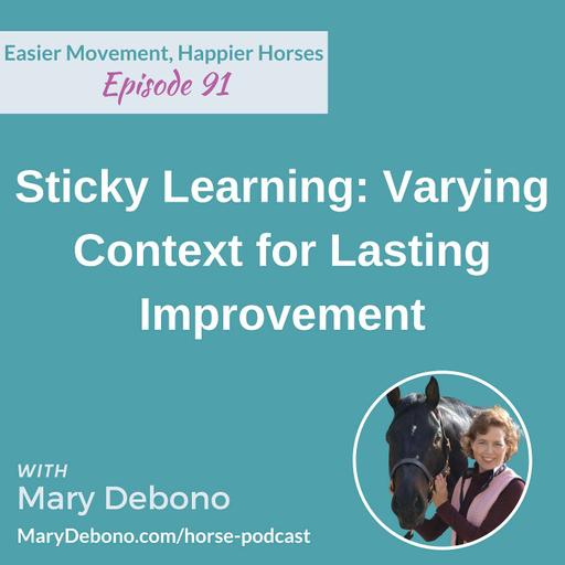 Sticky Learning: Varying Context for Lasting Improvement