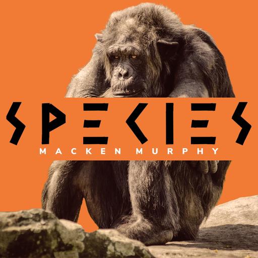 In Other Nests | Macken Murphy