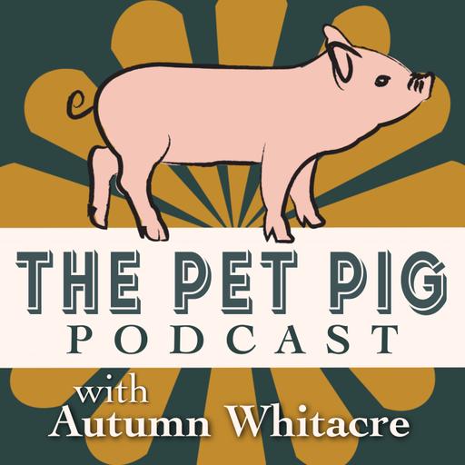 Snuggles in the North: Life with a Pet Pig in Canada