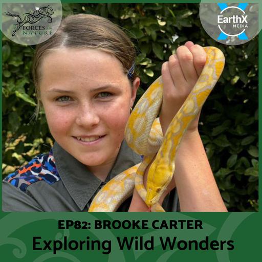 Exploring Wild Wonders with Brooke Carter, Ep. 82