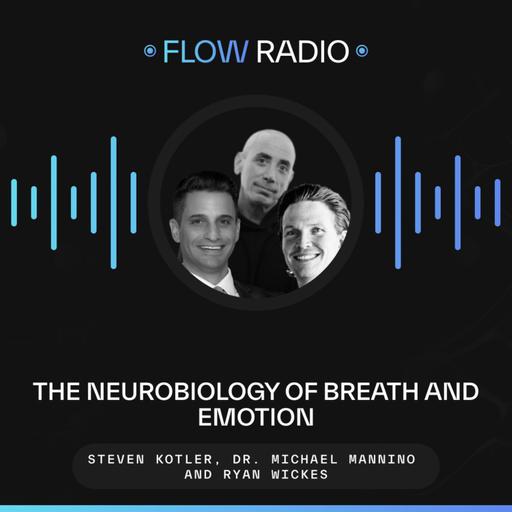 Afterthoughts: The Neurobiology of Breath and Emotion