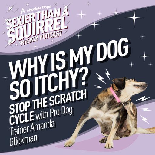 Why Is My Dog So Itchy? Stop the Scratch Cycle with Guest Pro Dog Trainer, Amanda Glickman