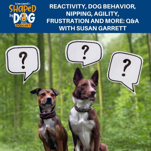 Reactivity, Dog Behavior, Nipping, Agility, Frustration And More: Q&A With Susan Garrett #283