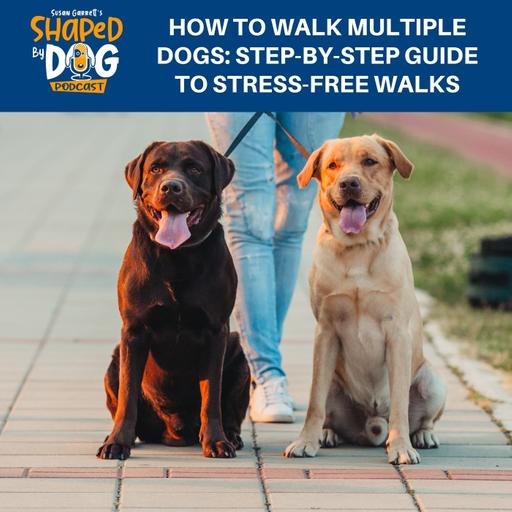 How To Walk Multiple Dogs: Step-by-Step Guide To Stress-Free Walks #282