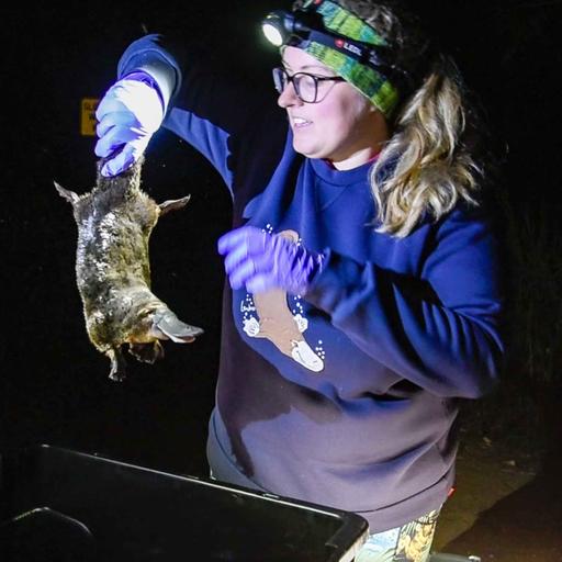 PFOS in platypuses with Katherine Warwick