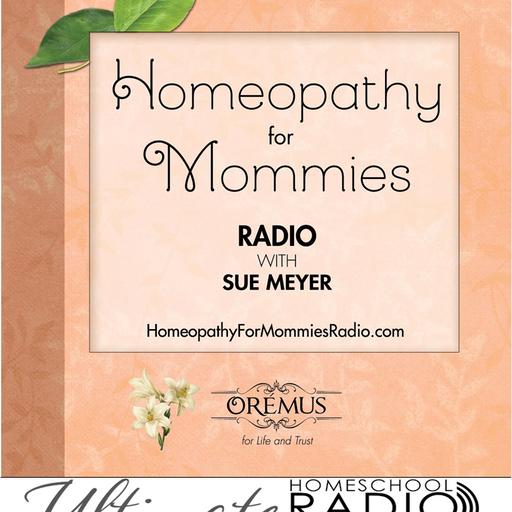 Seasonal Replay: Homeopathy and the Immune System