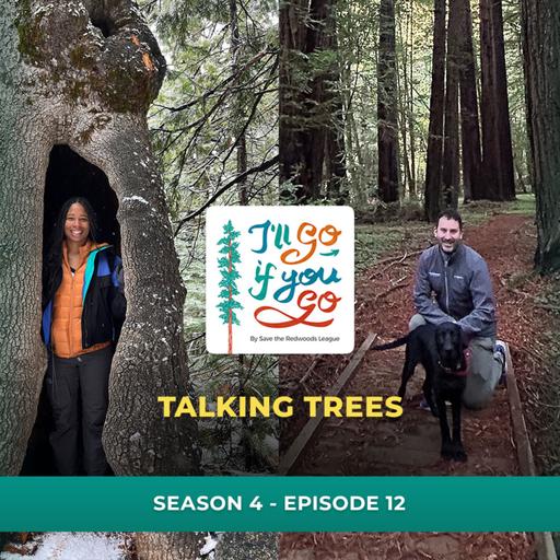 Talking Trees