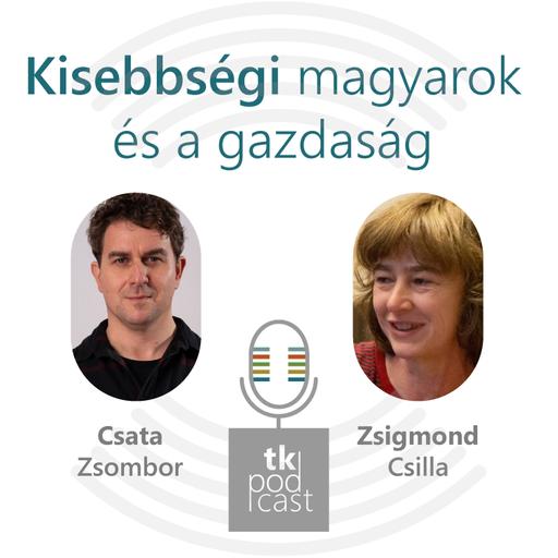 Kisebbségi magyarok és a gazdaság