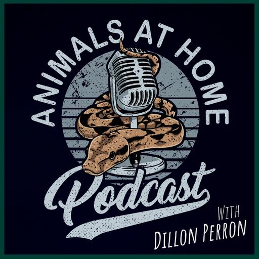 211: I love keeping reptiles, but why do I feel guilty? | Phillip Lietz - AAH