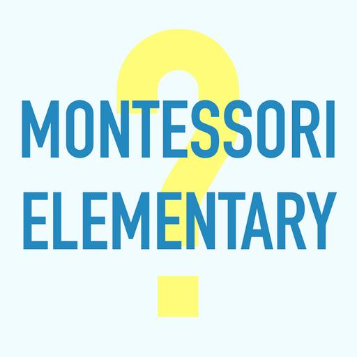 Montessori Elementary School - Is It Any Good?