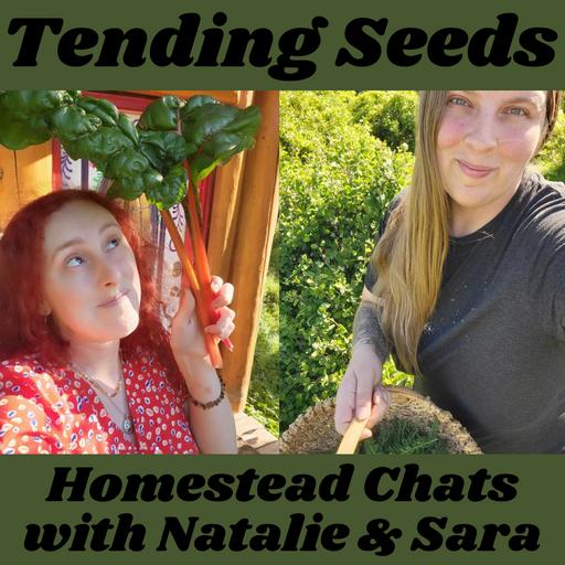 Ep 58 - Homestead Chats with Natalie and Sara