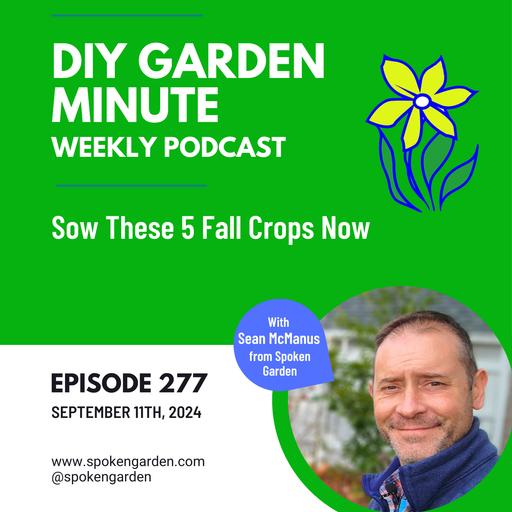 Sow These 5 Fall Crops Now - DIY Garden Minute