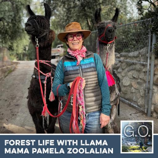 GO 127 - Forest Life With Llama Mama Pamela Zoolalian