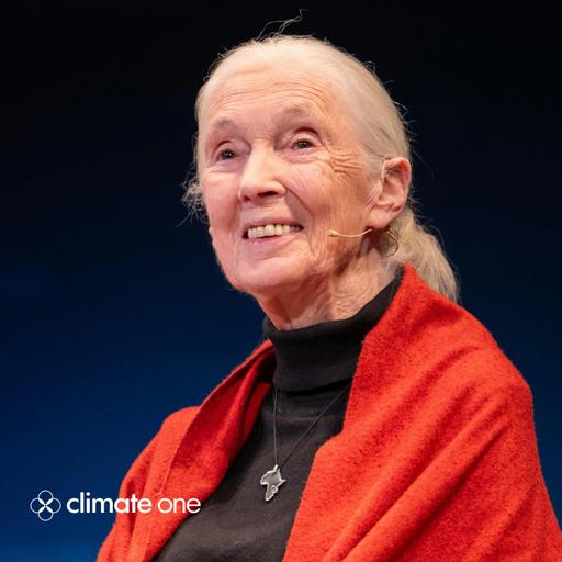 Jane Goodall: Celebrating 90