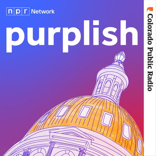 Coming soon: Purplish's 2024 election season